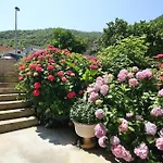 Apartments Raicevic