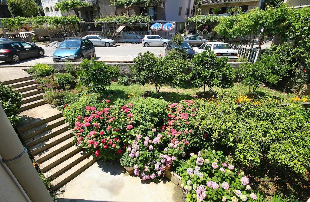 Raicevic Budva